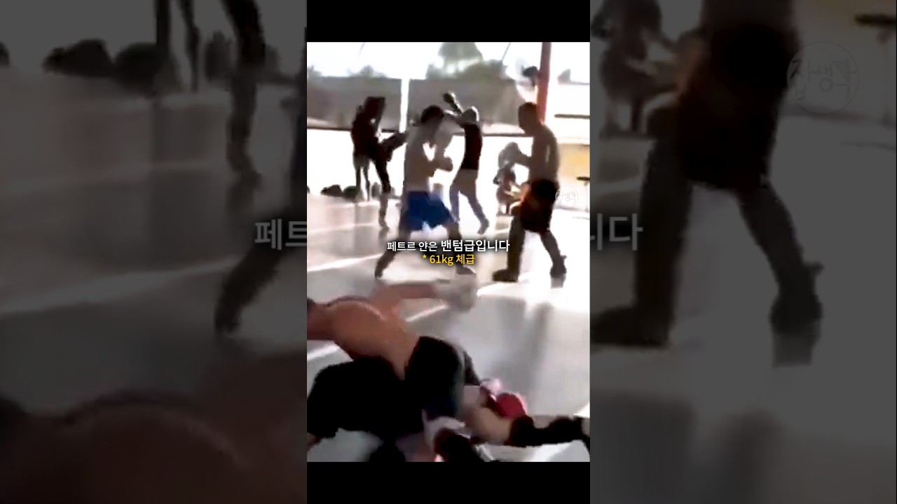 한 체급 높은 모브사르를 스파링에서 압도하는 페트르 얀 ㄷㄷ