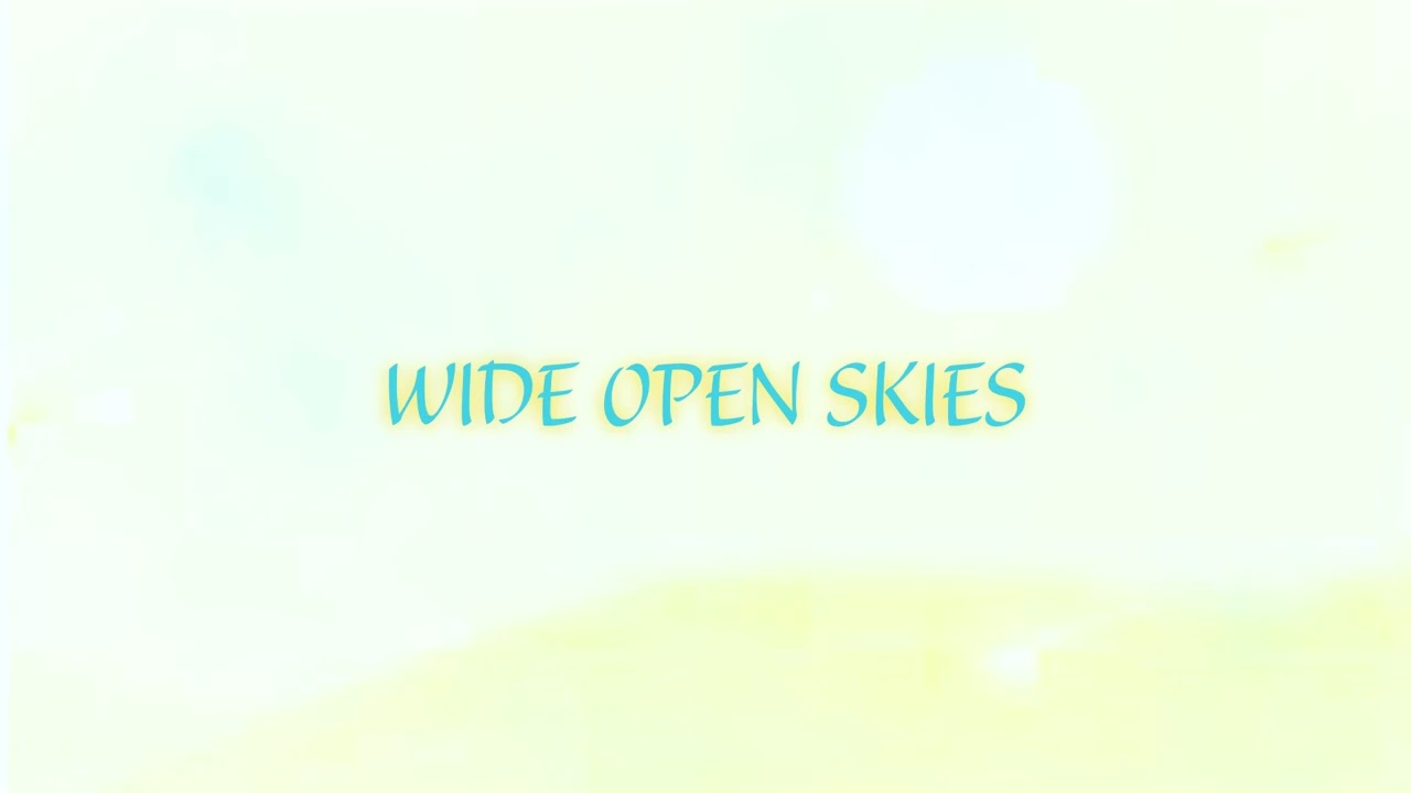 Wide Open Skies