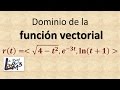 Dominio de una función vectorial | Cálculo vectorial | La Prof Lina M3