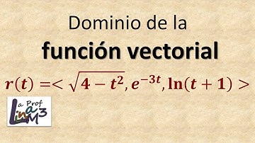Dominio de una función vectorial | Cálculo vectorial | La Prof Lina M3