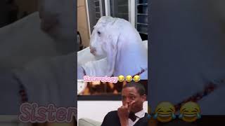 #sisterology #duckybhai