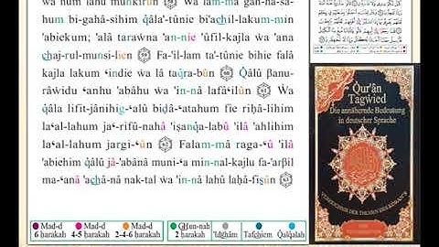 ختمة من مصحف التجويد باللغة الألمانية الصفحة رقم 242