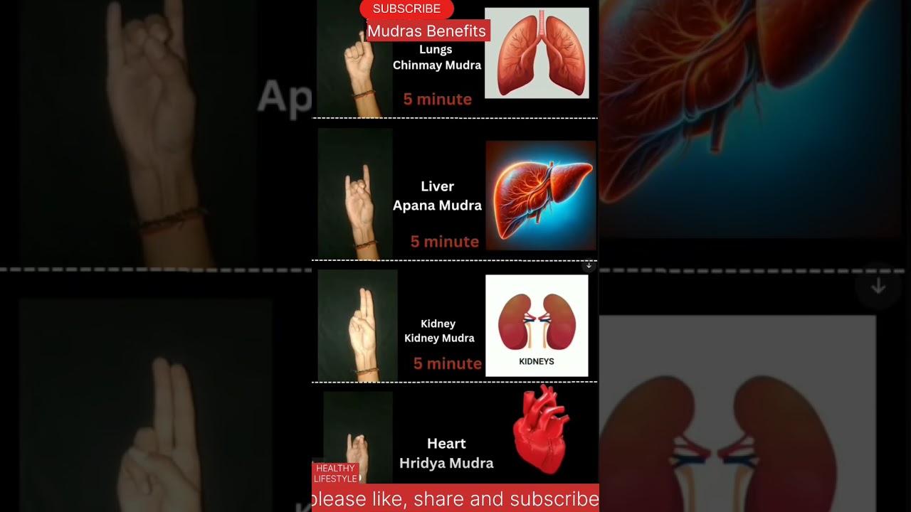 "4 Powerful Mudras for Lungs, Liver, Kidney & Heart Health | Yoga Mudras for Vital Organs"