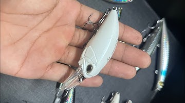 Mồi rank mập chuyên câu cá Mú,Hồng action lắc mạnh có bi kêu bên trong siêu nhạy cá