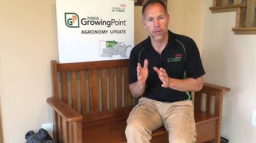 Did your corn get frosted?