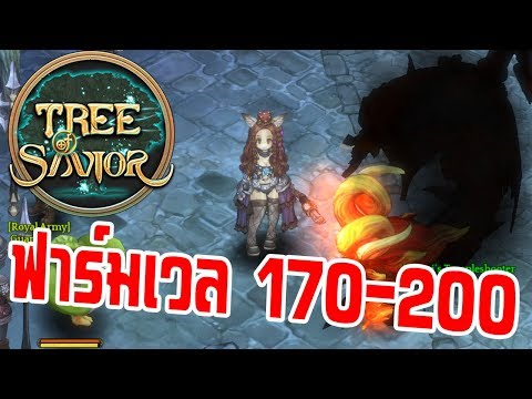 Tree of Savior [TOS] แนะนำสถานที่ เก็บเลเวล แบบรวดเร็ว LV 170 - 200