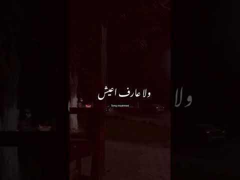 واستنيته يرجع مرجعليش