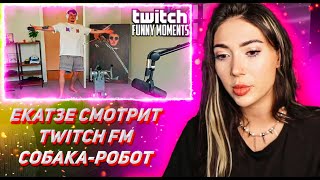 ЕКАТЗЕ СМОТРИТ ТВИЧ ФМ Топ Моменты с Twitch | Собака-Робот