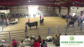 Celebrity 4-H/FFA Beef, Bucket Calf, & Clover Kids Cattle Kids Show Profile