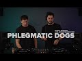 Phlegmatic Dogs @ Monstercat Guest Session