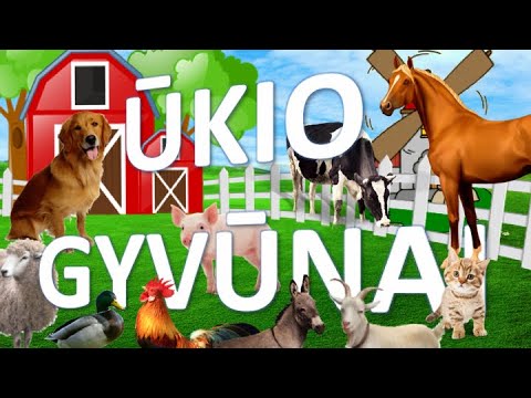 Video: Psichologija už naminių gyvūnų auginimo