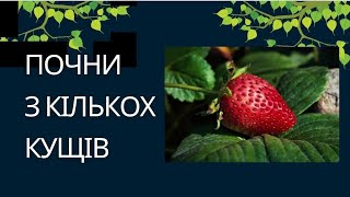 картинка: Моя ПОЛУНИЦЯ (від А до Я)