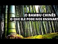 Veja o Que a Natureza Nos Ensina: O BAMBU CHINÊS Uma Lição Para a Vida Inteira