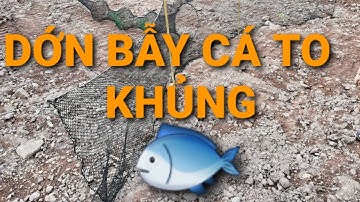 dớn bắt cá to , đăng chặn sông ngòi  , suối - 0975 892 911