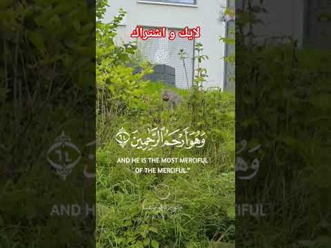 فالله خير حافظ اكسبلور كيدز المانيا لايك السعودية