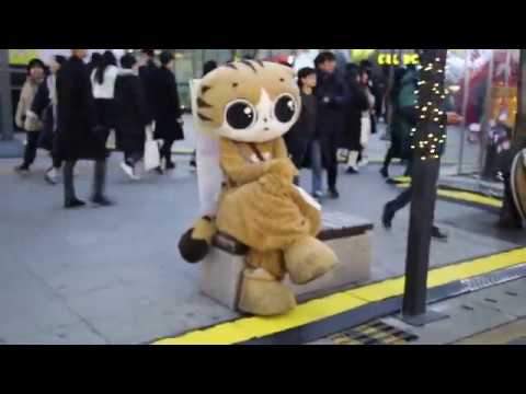 JHKTV] 신촌 명물고양이 돌부처 shin chon special cat Stone <strong>buddha</strong>