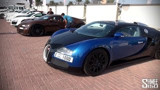 Dubai Grand Parade Paddock Tour - 3 Veyrons, Dubai Police Cars