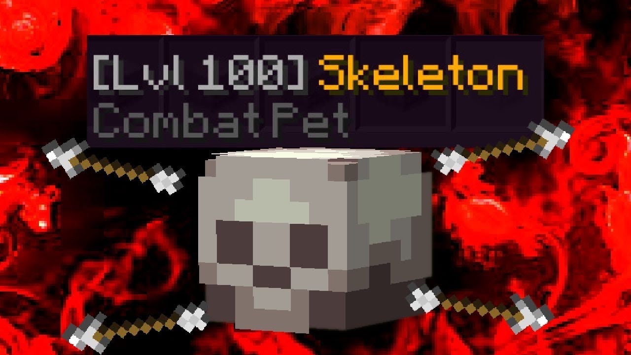 The Skeleton Pet… (Hypixel Skyblock) YouTube