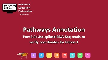 GEP | Pathways Gene Annotation Part 6.4 - Use spliced RNA-Seq reads to verify coordinates