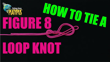 How to Tie a Figure 8 Loop Knot - Tackle Tactics Animated Knot Series