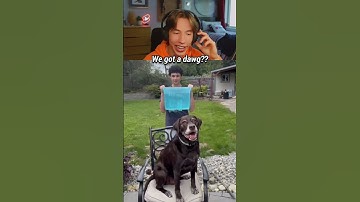 The CRAZIEST Ice Bucket Challenge Clips... 🧊😬