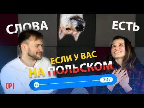 Полезные польские слова,