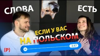 Полезные польские слова, если у вас есть собака Полезные польские слова, если у вас есть собака
