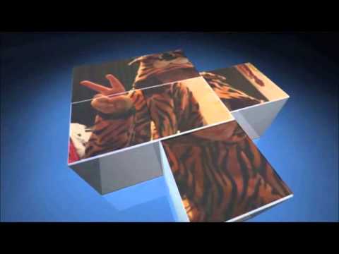 TiGeR InTrO !