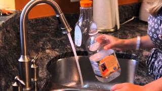 Ants: Commonly Infested Areas in the Home