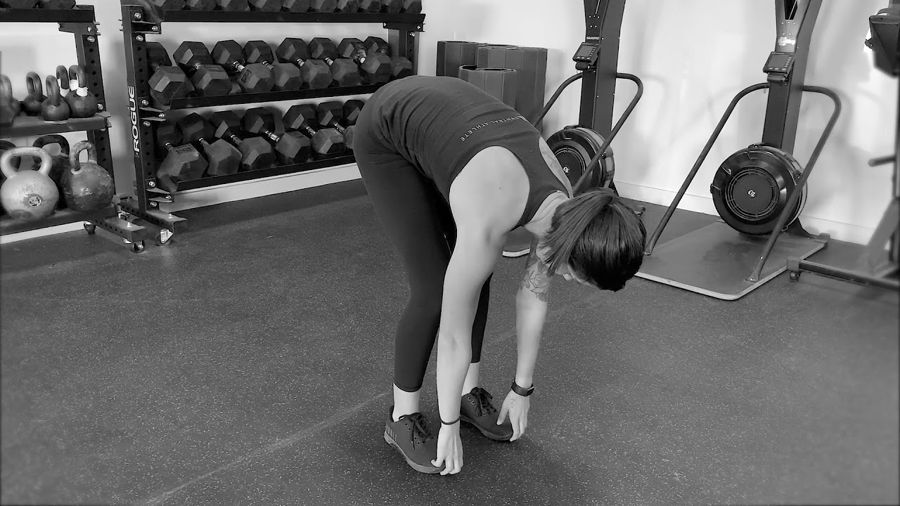 Elephant Walk YouTube