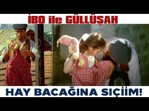 İbo İle Güllüşah Türk Filmi | İbo Güllüşah'ı Saklıyor! Kemal Sunal Filmleri