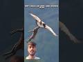 HAPPEY EGAL CAN CARRY LOAN #ytshorts #youtubeshorts #wildlife #funny #topnews #vlog