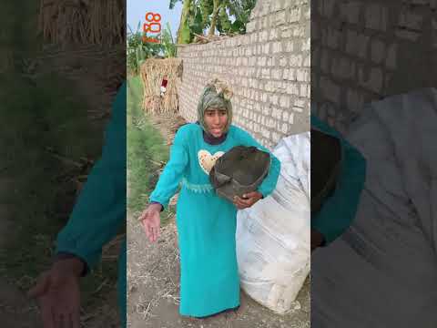 رحاب دي بت زارقه مرميه ف كل حته كوي الصور تحميل موسيقى