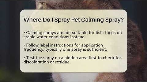 Where Do I Spray Pet Calming Spray? - PetGuide360.com