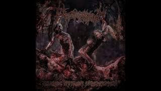 Resplendency - Revenge Through Dismemberment (Full Album)