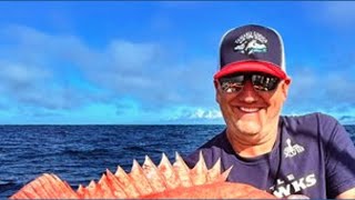 The Weirdest Fish King 5 Sports Anchor Chris Egan Helped Catch In 2025