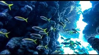 GoPro HERO 3 - Diving in Egypt | Full HD