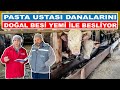 Pasta Ustası Danalarını Doğal Besi Yemi İle Besliyor
