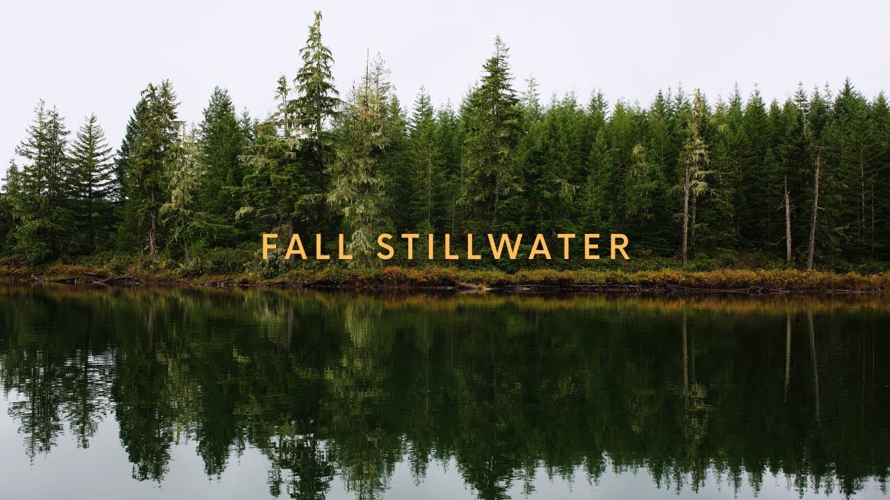 The Search For Big Trout Lead Me Here.... Stillwater Trout Fishing in The PNW.