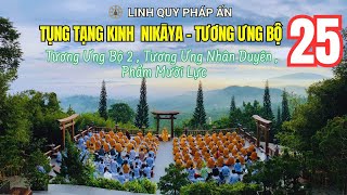 TỤNG TẠNG KINH NIKAYA 25 - Tương Ưng Bộ 2 , Tương Ưng Nhân Duyên , Phẩm Mười Lực