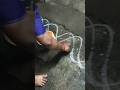 kolam day 1