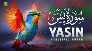 Surah Yasin (Yaseen) سورة يس | Relaxing emotional recitation | SOFT VOICE | Zikrullah TV screenshot 2