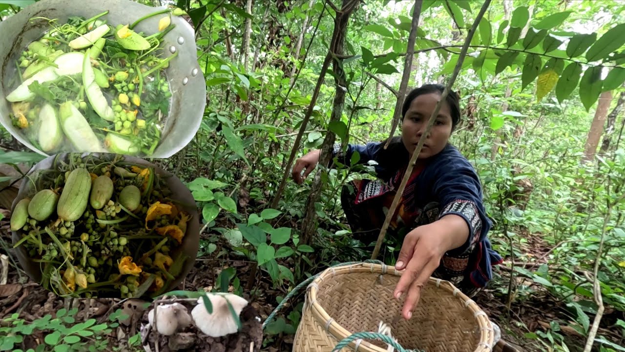 แกงเห็ดปลวกใส่หมากบวบ//ແກງເຫັດປວກໃສ່ໝາກບວບ