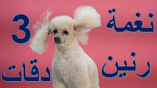نغمة رنين 3 دقات رووووعة تحميل مباشر