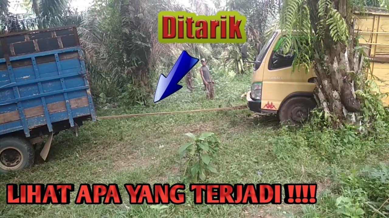  Truk  sawit bawa  kayu  karet melewati tanjakan dan berlumpur 