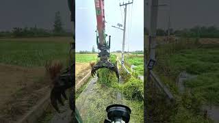 How Is This Heavy Machine Removing Trash and Weeds from This Pond ? #usa #work