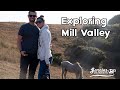 Exploring Mill Valley, California: Vlog Hiking Cascade Falls, Horse Hill Preserve