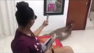 Video Para Status Eu Sei Que Vai Dar Merda