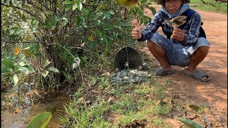 BẪY MẮT XÉO VÀO MÙA CỰC HAY