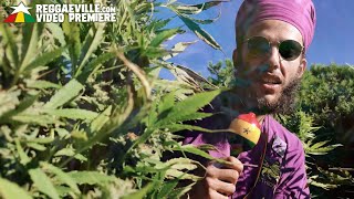 Ras Cup & Good Over Evil - Legalize Marijuana [ Video 2022]